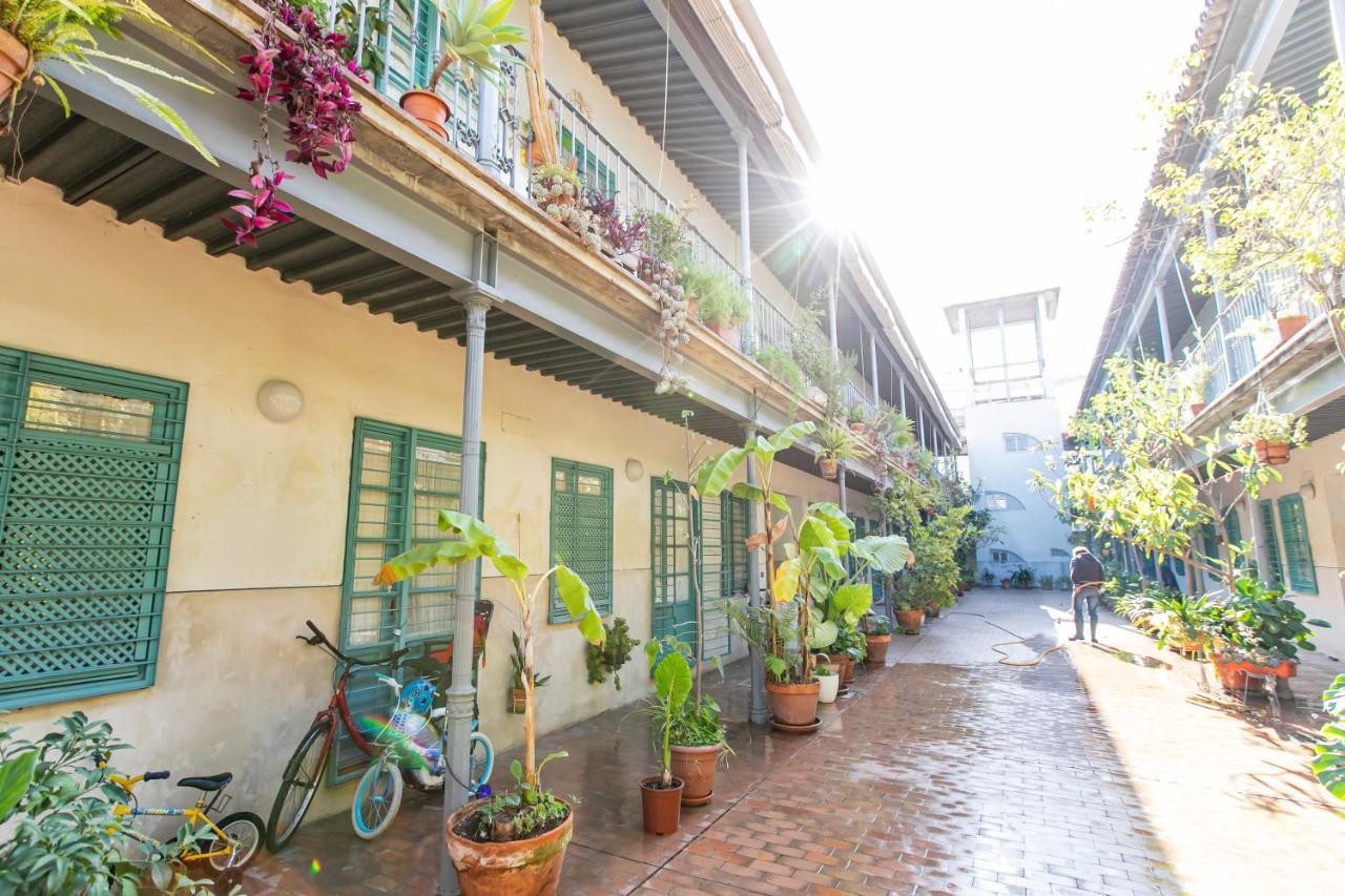 Apartamento 3 Dormitorios En Calle San Vicente. Seville Ngoại thất bức ảnh